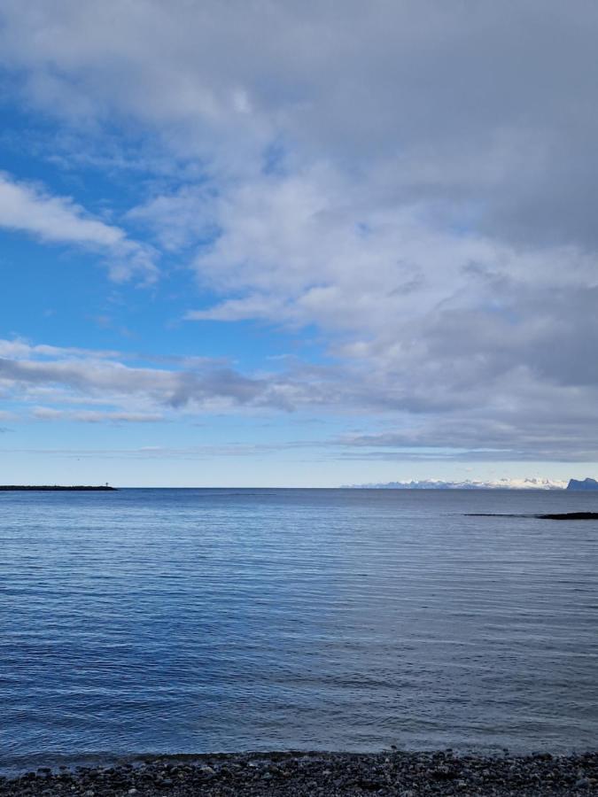 Roligheten Lodge In Andenes Luaran gambar