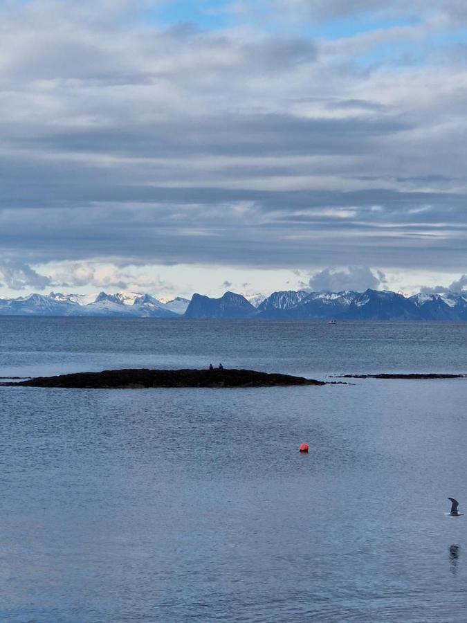 Roligheten Lodge In Andenes Luaran gambar