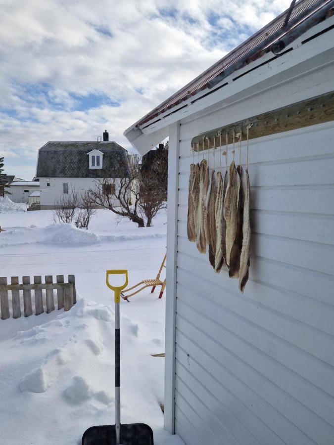 Roligheten Lodge In Andenes Luaran gambar